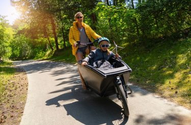 elektromos cargo bike teherkerékpár