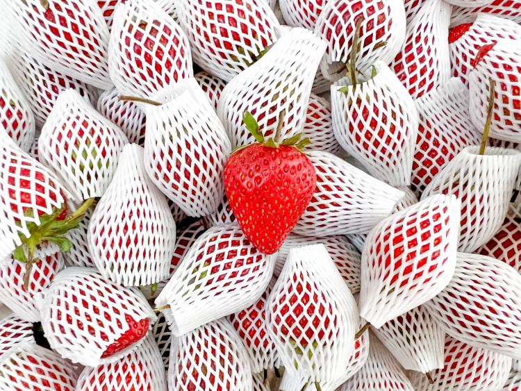 Csomagolás: Értjük, vagy csak úgy csinálunk?