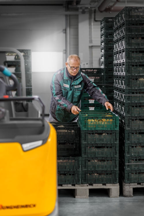 jungheinrich elektromos targonca zöldség gyümölcs raktár