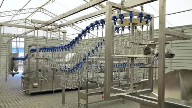 Az automatizált rekeszmosó rendszer a tiszta göngyölegek szervezett kezelését támogatja.