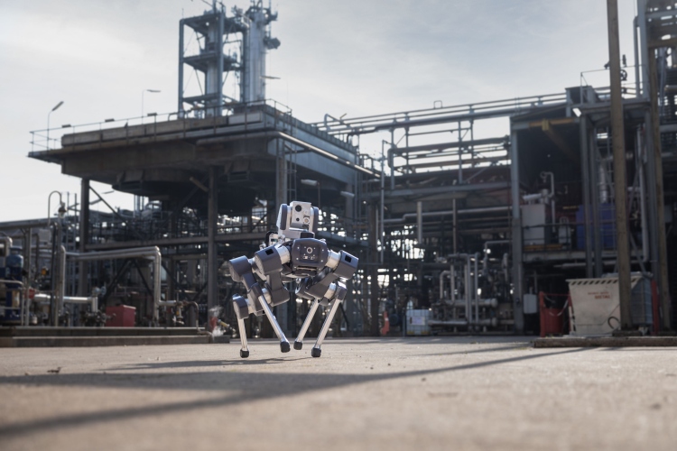 Éles bevetésben bizonyít a robotkutya