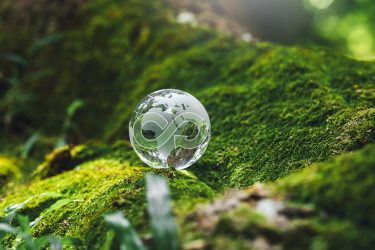 bioalapú gazdaság projekt SUSTAINCrop fejlődés