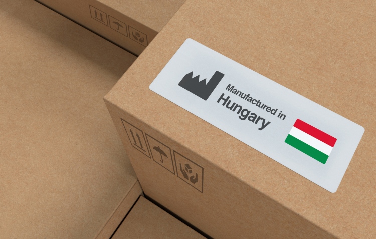 Az AI három legfontosabb hatása a hazai logisztikai piacra