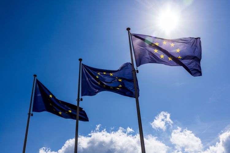 Új útmutató segíti a csomagolási reformok végrehajtását