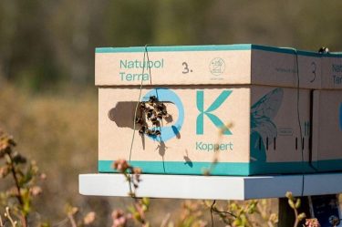 kaptár
