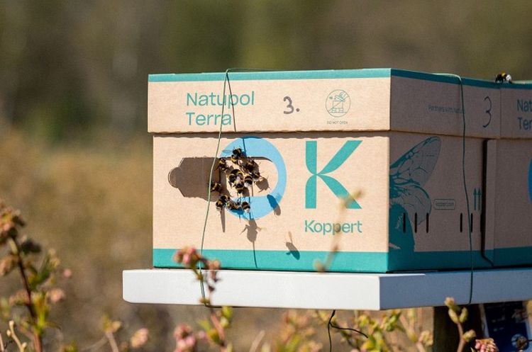 Újrahasznosítható, rostalapú beporzókaptárt kapnak a méhek